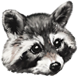RaccAttack - twitch chat emote details on BadgeBase