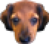 RalpherZ - twitch chat emote details on BadgeBase