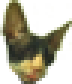 Kippa - twitch chat emote details on BadgeBase