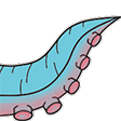 Squid4 - twitch chat emote details on BadgeBase
