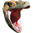 PogChamp - twitch chat emote details on BadgeBase