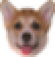 CorgiDerp - twitch chat emote details on BadgeBase