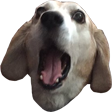 OhMyDog - twitch chat emote details on BadgeBase
