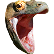 KomodoHype - twitch chat emote details on BadgeBase