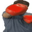 MizFight - twitch chat emote details on BadgeBase